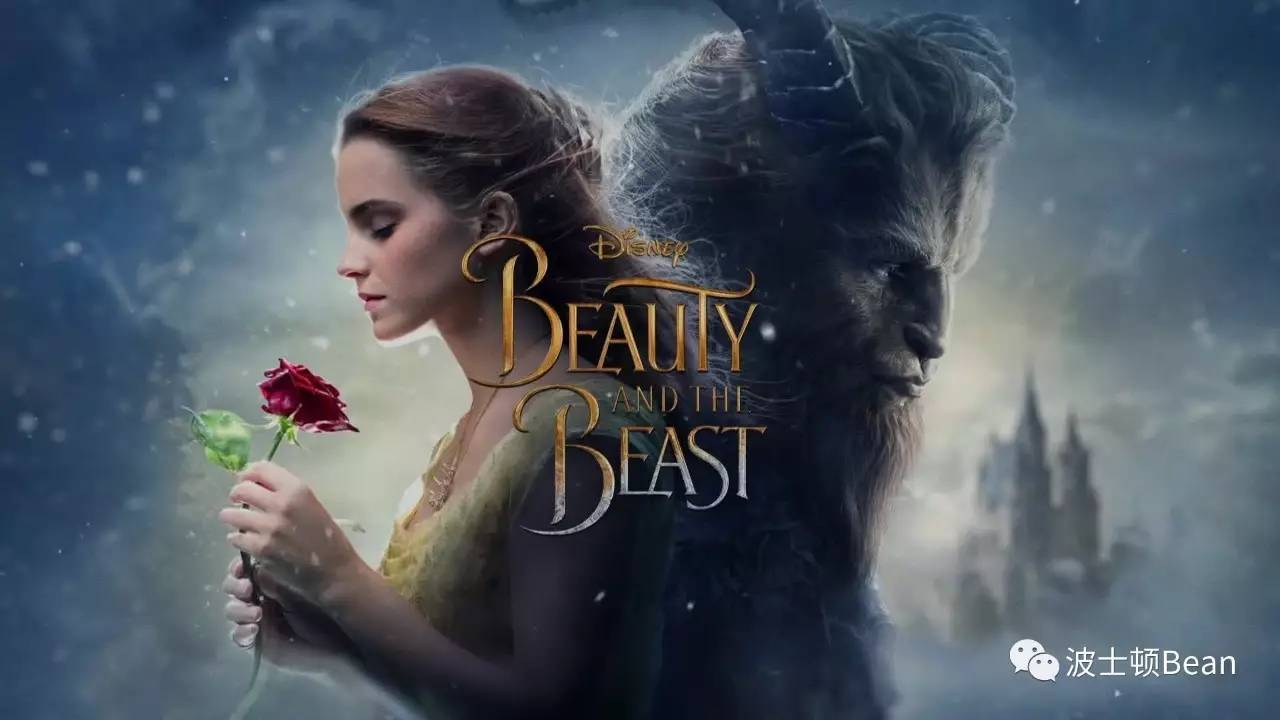 电影美人,心灵深处的美丽之旅探寻内心平静之旅。