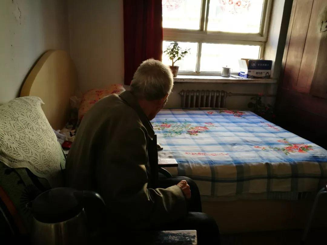 灵寿县副县长最新工作分配动态与职责揭晓🌱📣