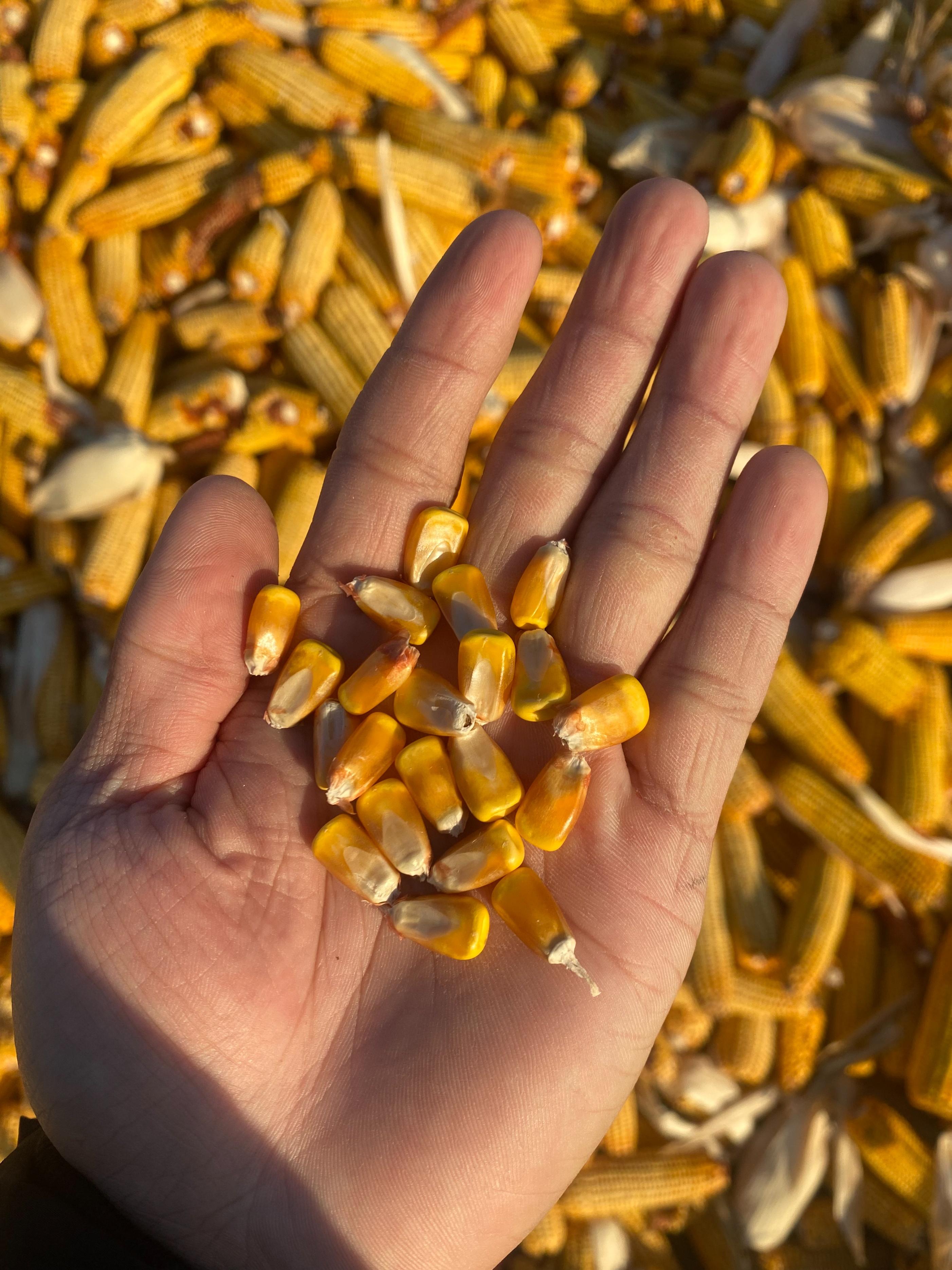 生产价格形成全面步骤指南