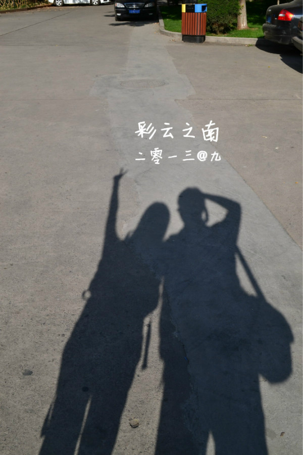 陆致极新动态,与自然美景的亲密之旅,探寻内心平和与宁静的旅程