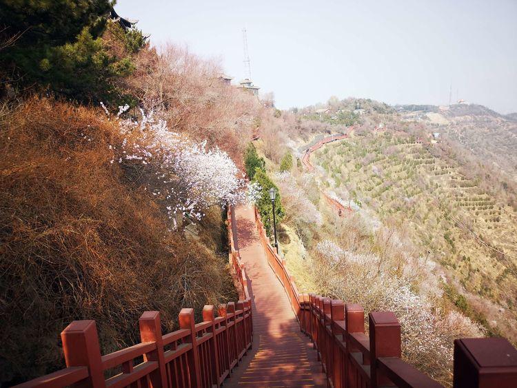 兰州店面出售信息,全新科技体验,未来触手可及