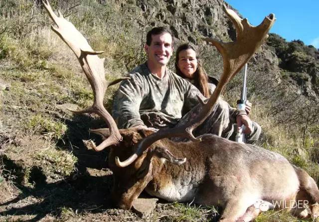 人猎比赛,与自然美景的浪漫邂逅之旅