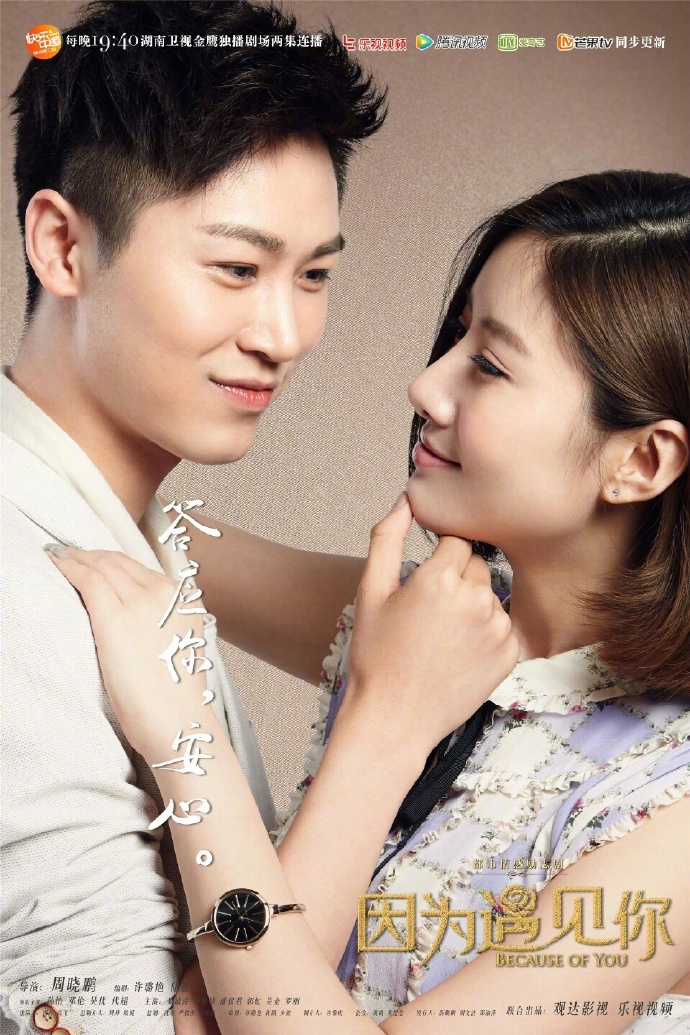 最新电视剧推荐,因为遇见你全剧解析及观看指南