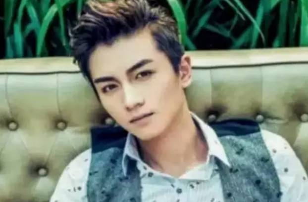 陈晓近期动态,影视之星的多面发展之路