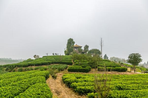 平谷绿谷最新招聘资讯,小巷深处的独特风味,等你来探秘职场机遇