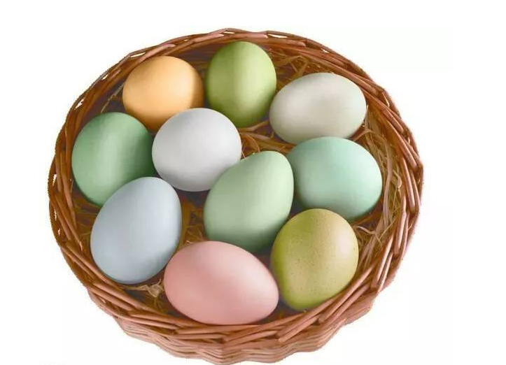 今日鸭蛋价格行情探索,一场寻求内心平静的鸭蛋之旅