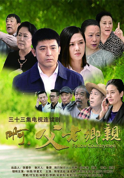 最新农村题材电视剧观看指南,赏析步骤与推荐剧集