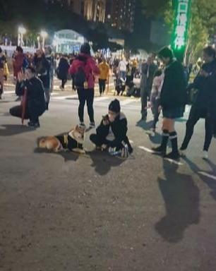 蜡笔小新最新版技能学习与实践步骤指南全解析