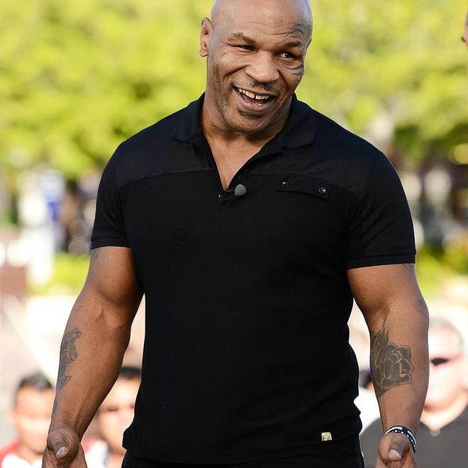 泰森最新动态,公众观点分析与个人立场阐述