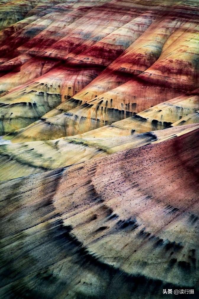 佳能最新动态揭秘,摄影奇缘再续新篇章