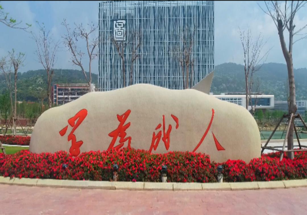 高考最新动态,全面指南与步骤解析深度解析高考趋势及备考策略