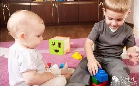 二胎政策最新动态,展望与深度解读