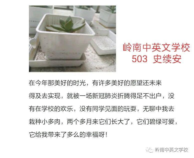 全国最新疫情下的日常小确幸时刻