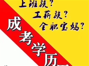 盘锦最新招聘,职场人的新选择之地