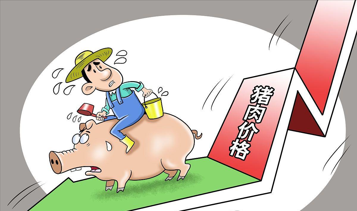 陕西油价动态,时代变迁中的能源焦点