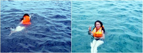 三亚最新新闻,城市温情下的日常趣事