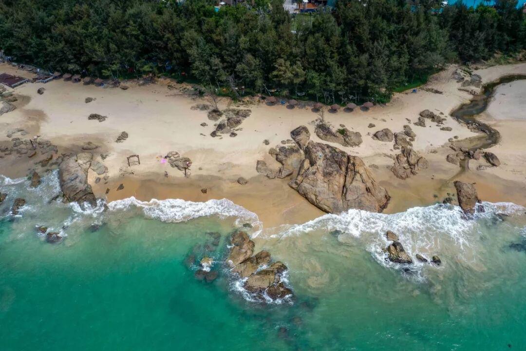 三亚最新新闻,城市温情下的日常趣事