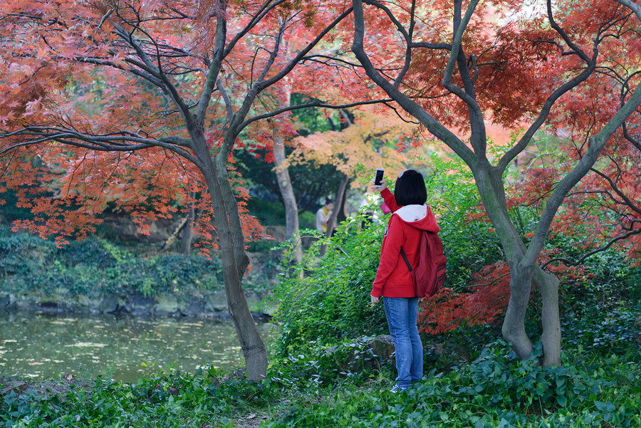 秋霞电影最新更新,不容错过的精彩大片