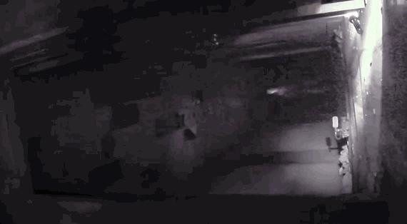 最新恐怖电影揭秘,小巷深处的秘密小店惊悚之旅