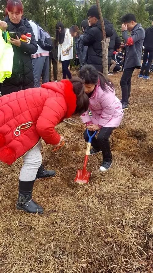 烟台最新新闻论述概览