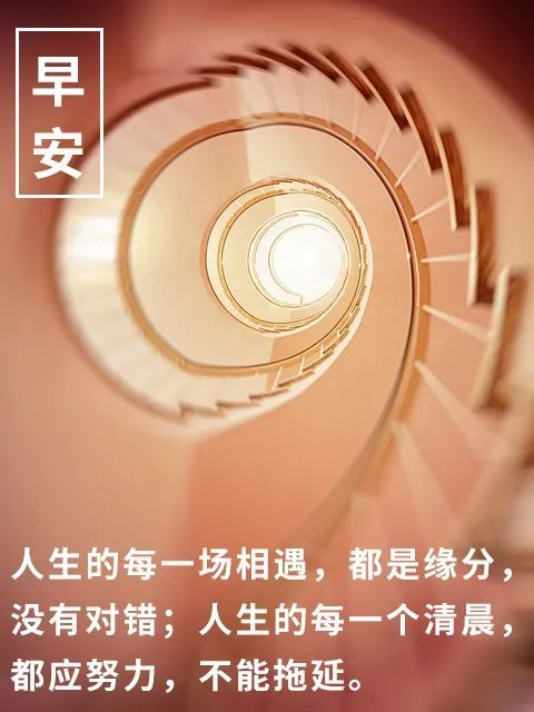 早安心语最新观点阐述与解析