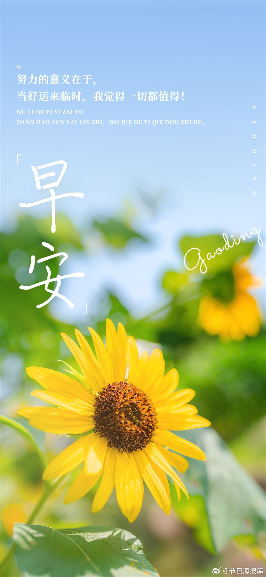 早安心语最新观点阐述与解析