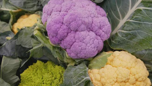 花菜价格最新行情揭秘,与菜篮子间的奇妙故事