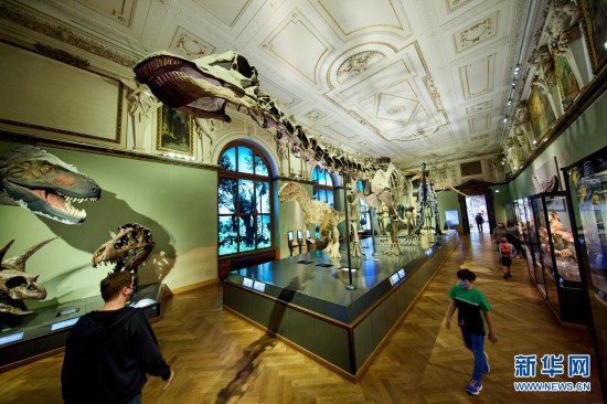 黑龙江疫情最新动态与大自然呼唤的绿色心灵之旅