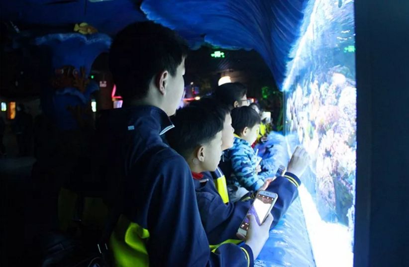 温馨影院之旅,2016最新电影与家的故事