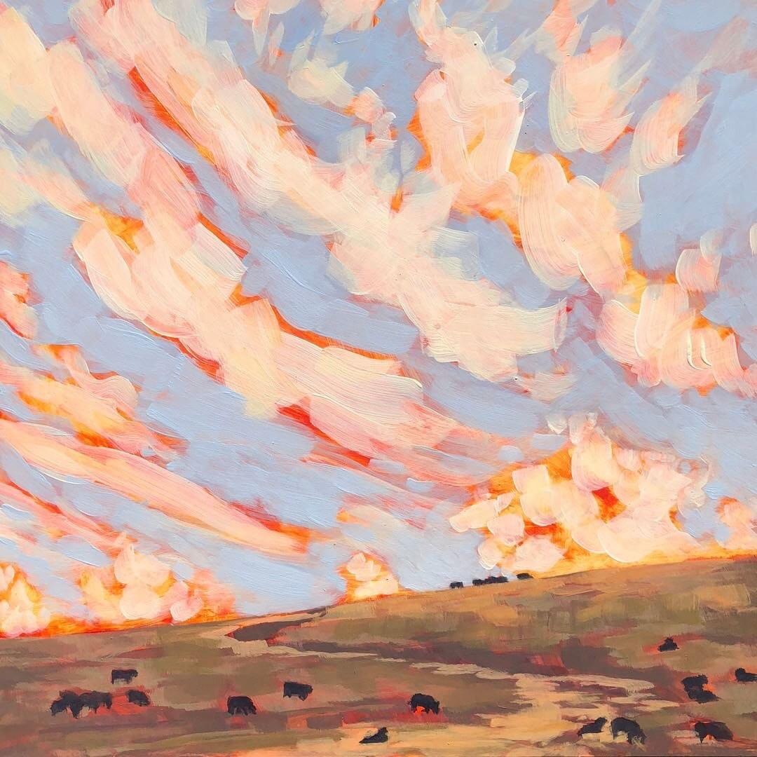 最新天然气价格,心灵与自然的奇妙之旅