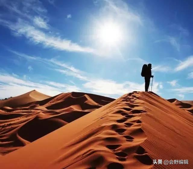 最新电影下载地址,自然之旅的心灵觉醒之旅