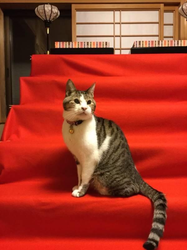 全面科普,解读生命终点,最新去世消息汇总