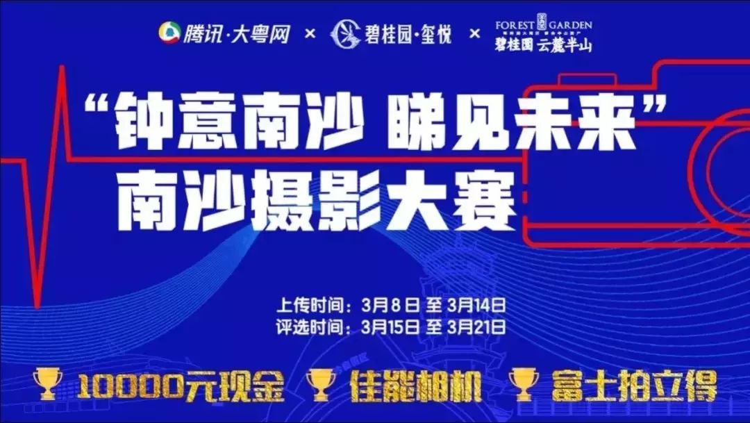 南沙招聘网最新招聘信息聚焦与深度反思