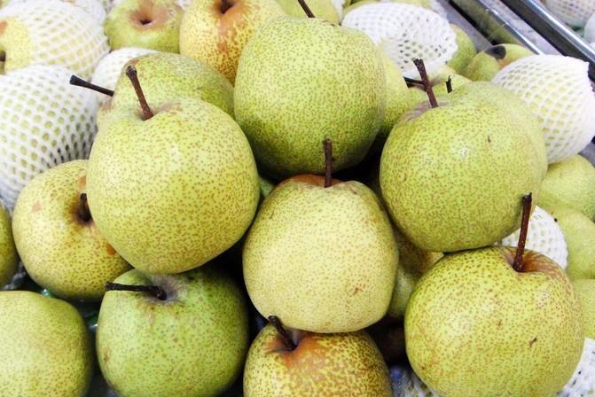 砀山最新招聘,友情、机遇与家的温馨交汇点