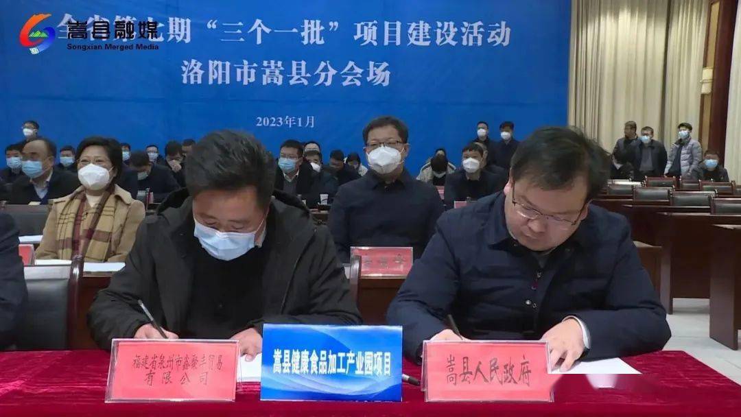 嵩县新闻最新动态速递📣