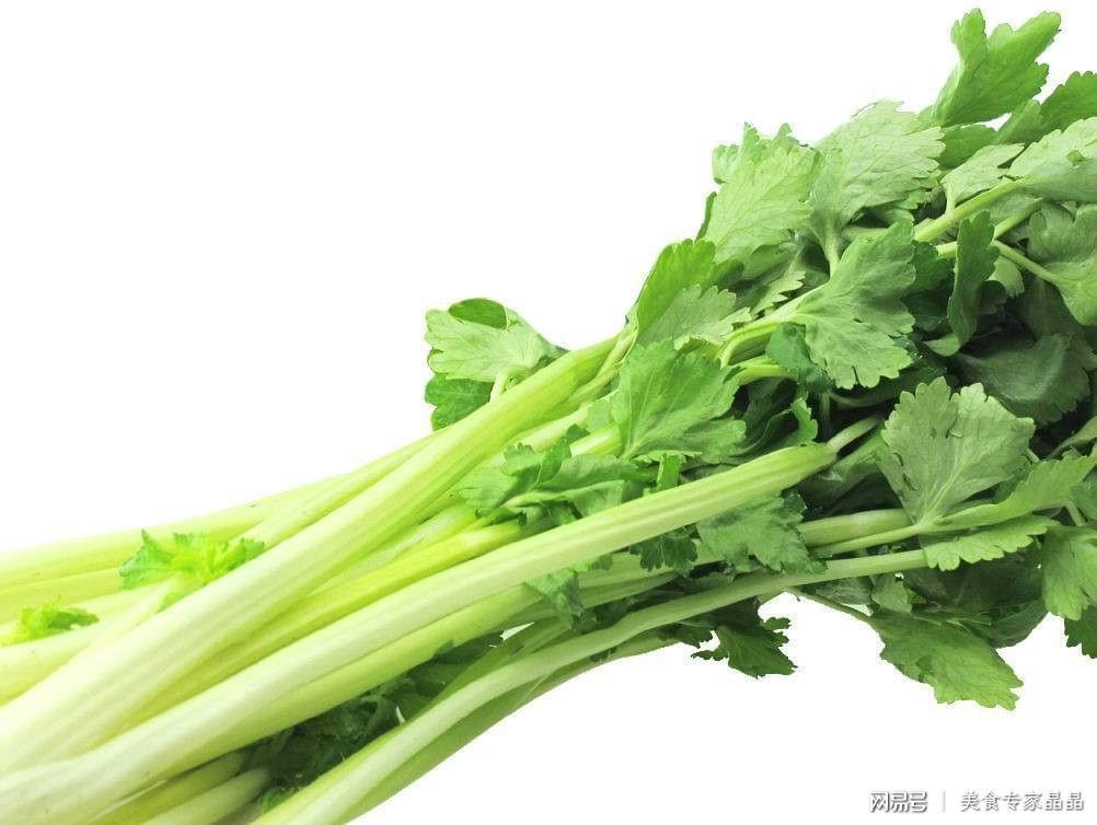 芹菜最新价格行情及厨房秘密探索