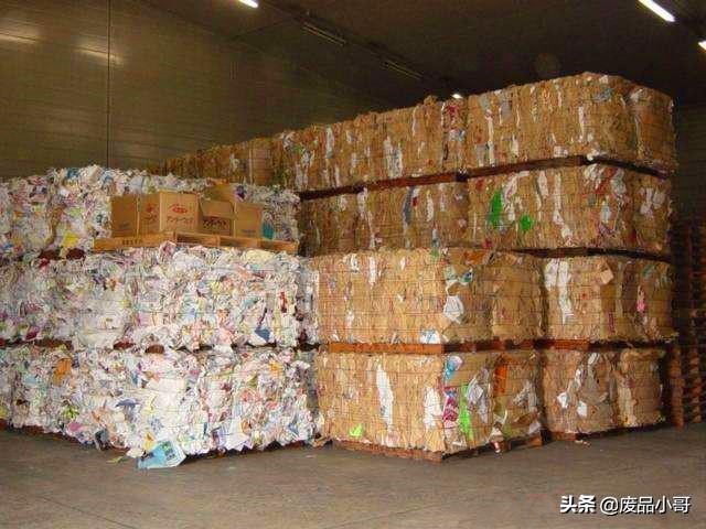 最新废纸回收价格深度解析及趋势预测