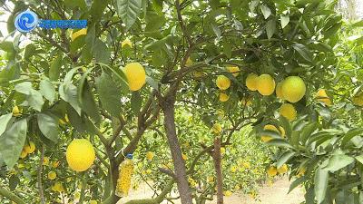 平潭最新规划图引领科技浪潮,开启未来生活新篇章