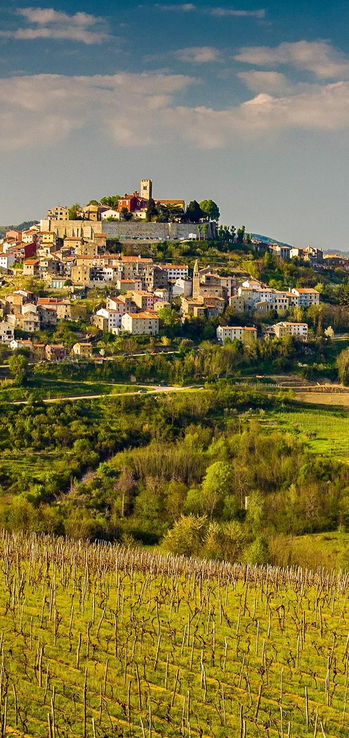 荒野行动最新版本,自然美景的探索之旅