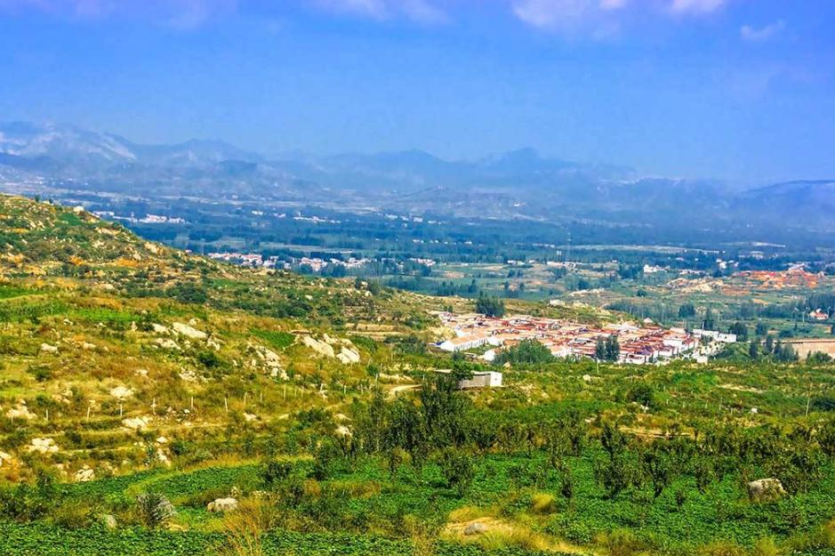 大蒜价格最新行情走势解析,掌握大蒜价格走势的步骤指南