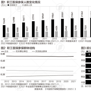 医疗保险最新政策解读,影响及一种观点的深度剖析