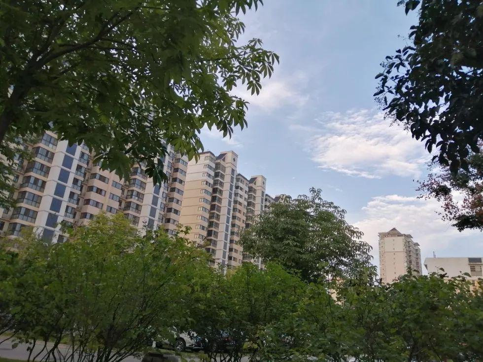 宝鸡最新新闻报道