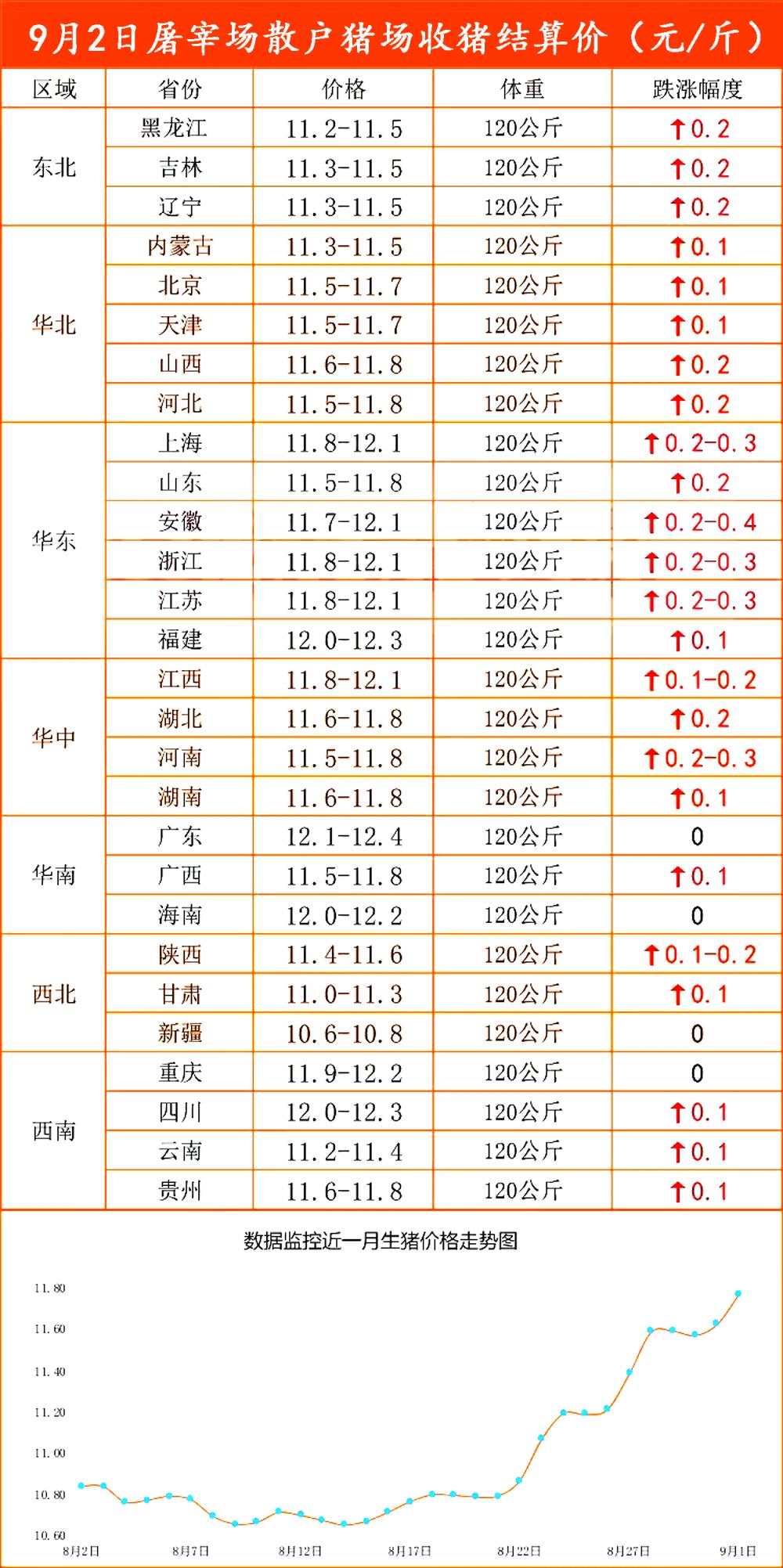 揭秘福建最新油价动态,加油不再迷茫!油价走势一网打尽!