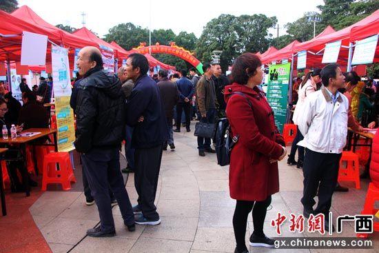 聋哑人招聘最新信息及更新动态