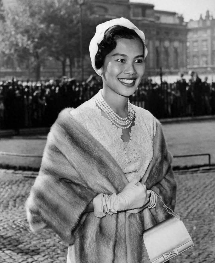 国产最新合集,时代印记与文化繁荣的璀璨展现