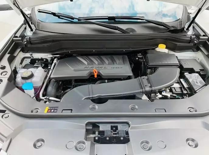 乐山最新动态,多维度视角探讨城市发展与观点碰撞