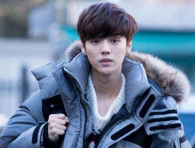 皮棉最新价格动态,学习、自信与成就的力量探索