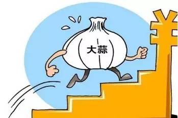 今日蒜价行情更新,一场探寻内心宁静的蒜香旅程