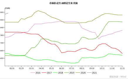 花生价格最新行情走势深度分析