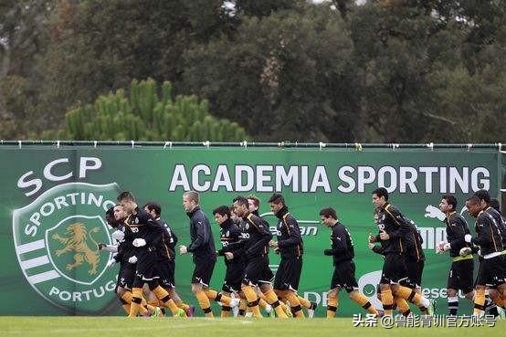 科技之巅璀璨明珠,最新手机重塑生活方式无限可能